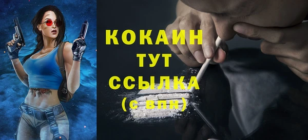 твердый Верхний Тагил