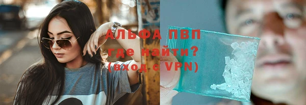 СК Бронницы