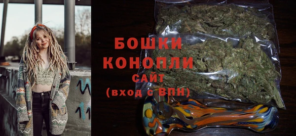СК Бронницы