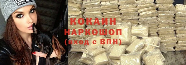 СК Бронницы