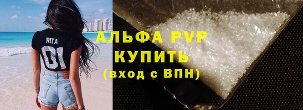СК Бронницы