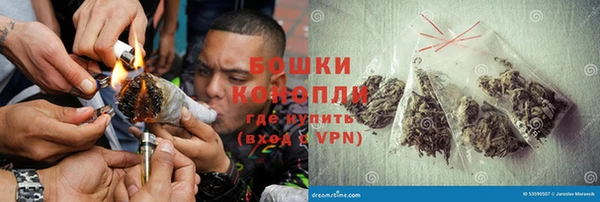 СК Бронницы